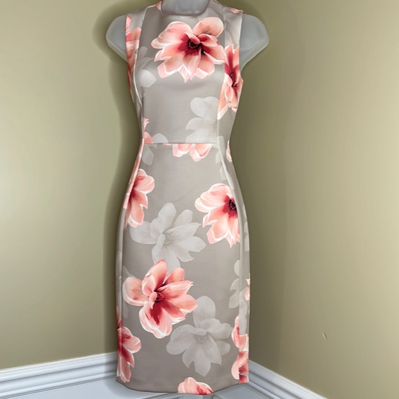 NWOT Calvin Klein Sleeveless Khaki and Pink Floral Sheath Dress Size 4 - Picture 3 of 12